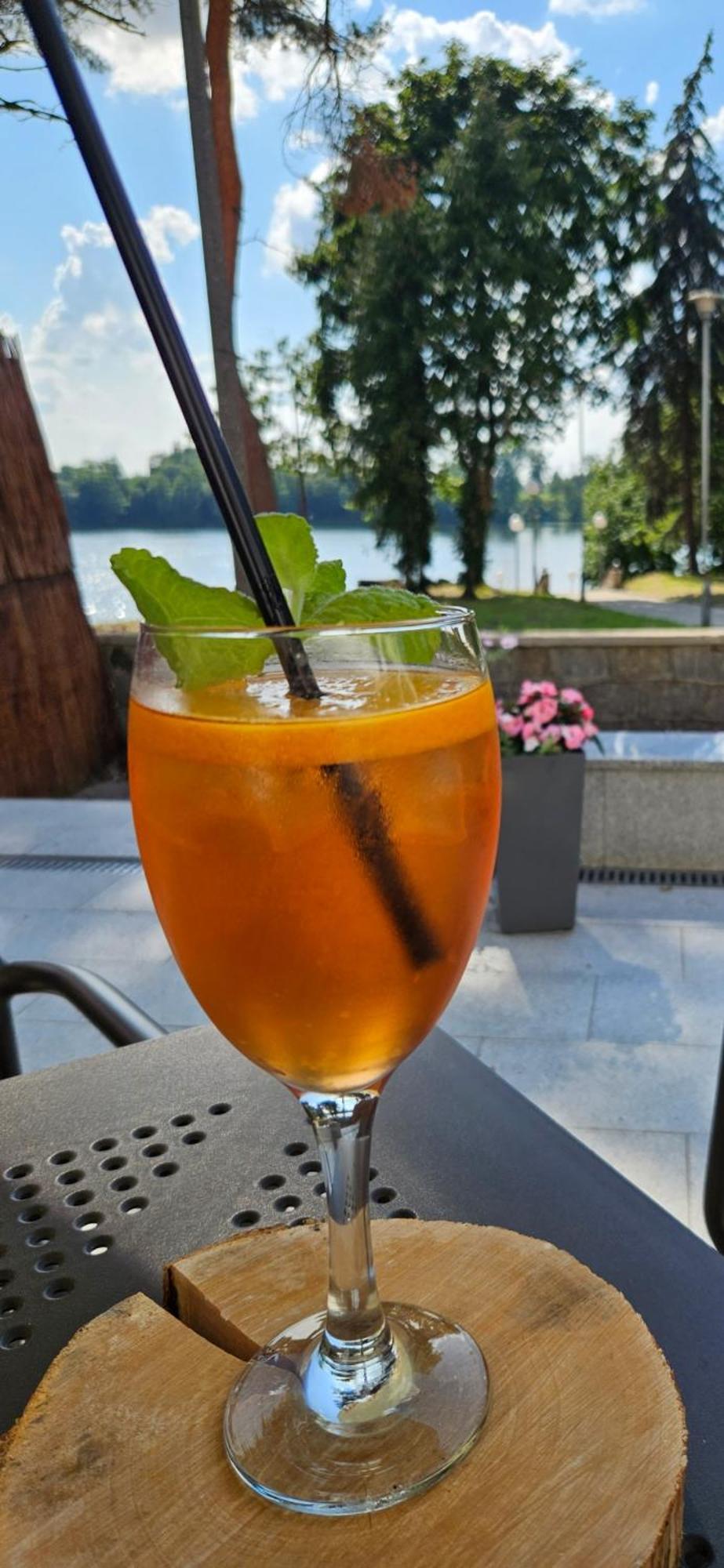 Papaver Hotel Ślesin Εξωτερικό φωτογραφία